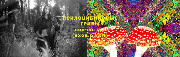 ешки Баксан